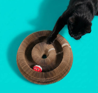 Griffoir Accordéon Magnétique + Balle